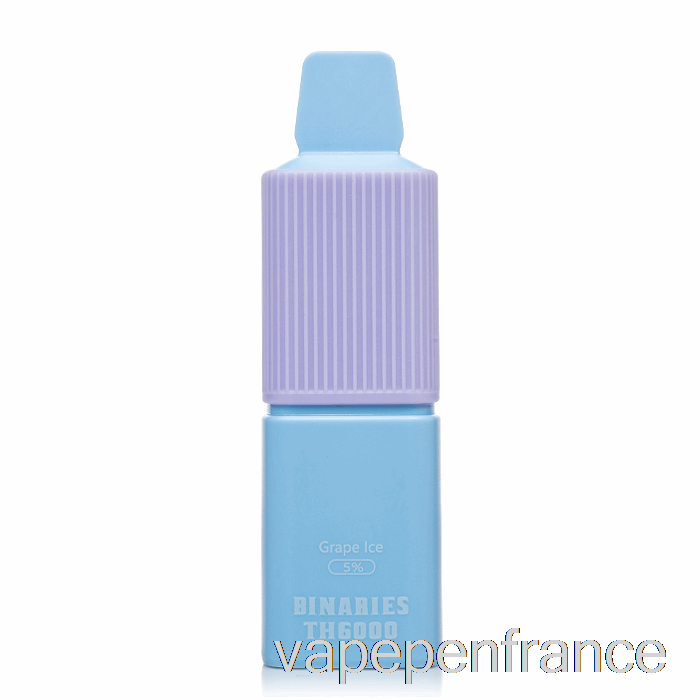 Horizon Binaires Th6000 Stylo Jetable De Vape De Glace De Raisin